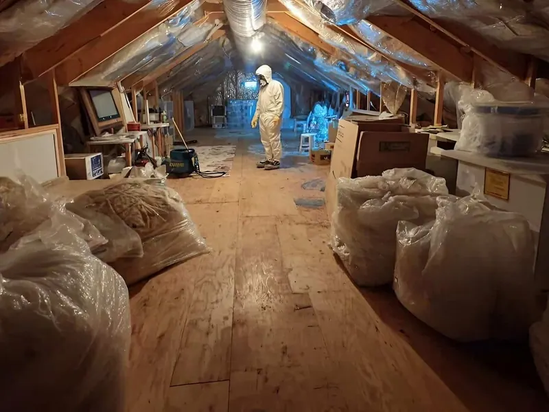 An attic cleared of old insulation, the removed material sealed into large clear bags and staged on the decking for haul-off